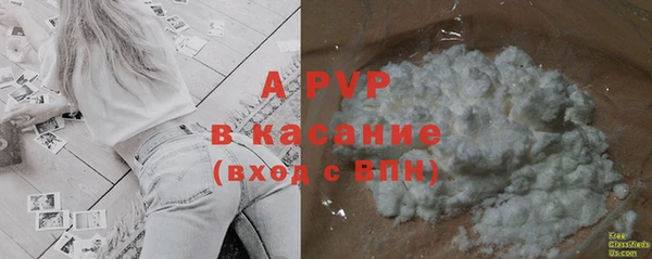 PSILOCYBIN Бородино